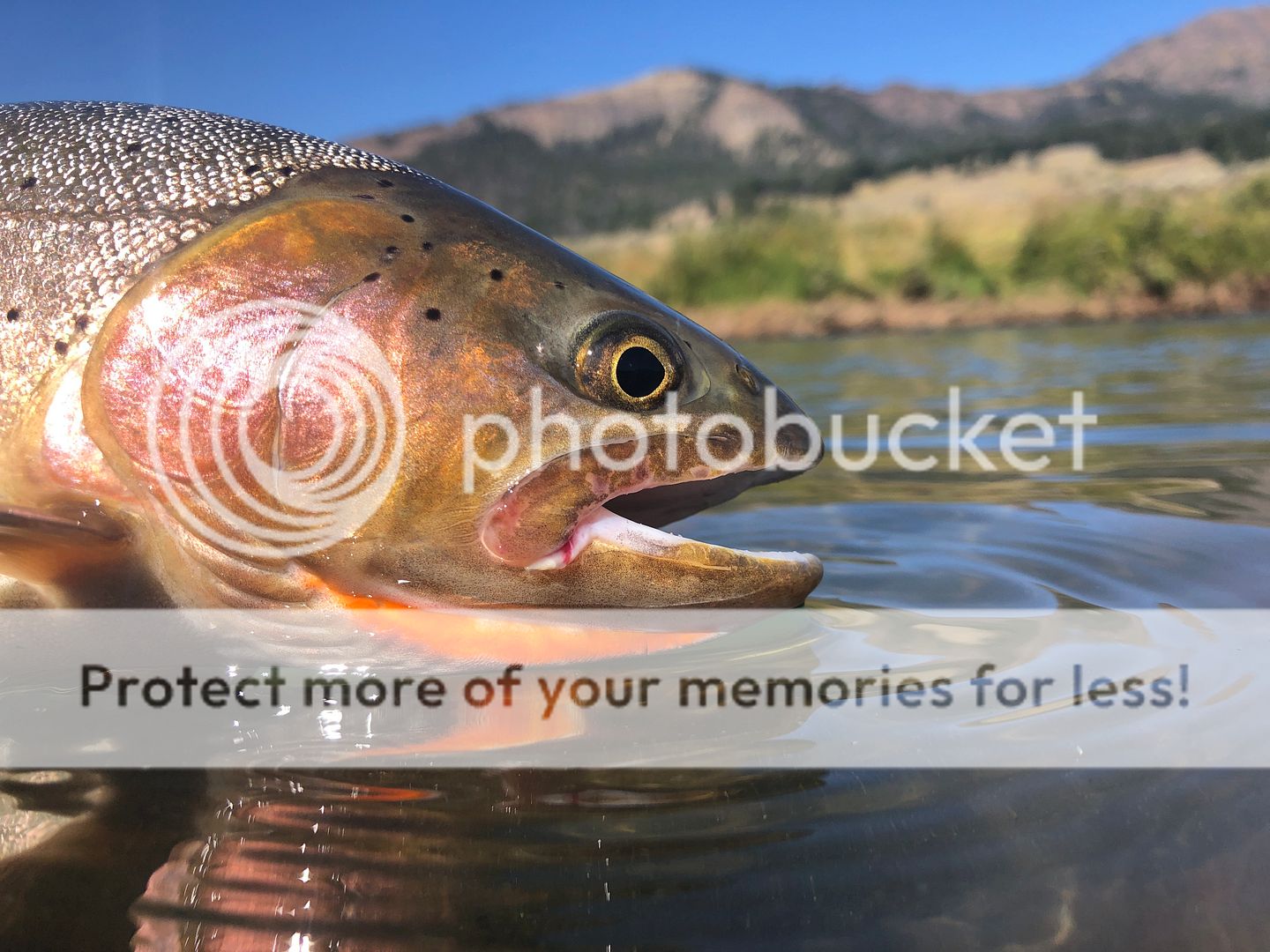 One of my top ten spots to catch a trout Washington Fly Fishing